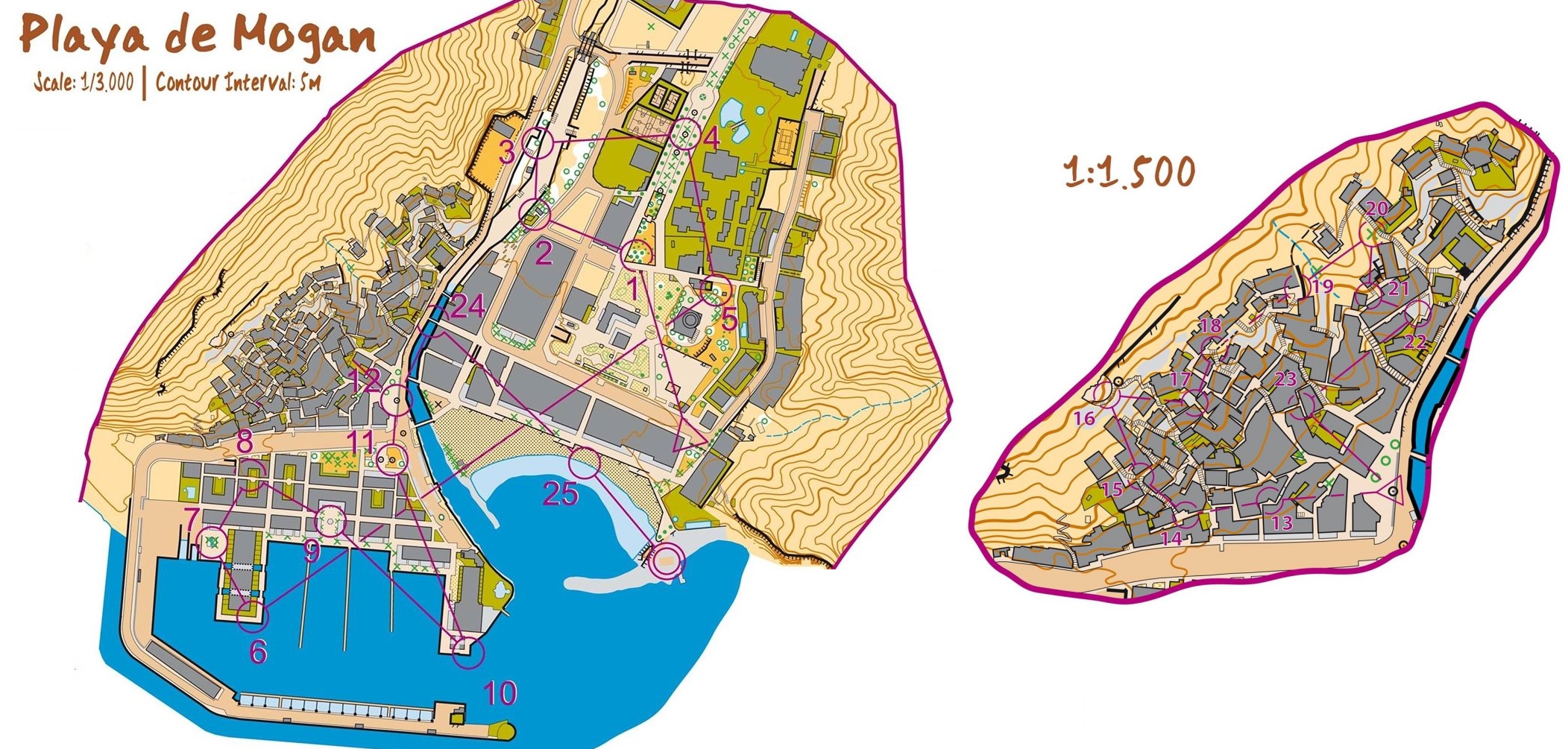 Playa de Mogan (11.03.2026)